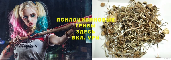 каннабис Арсеньев