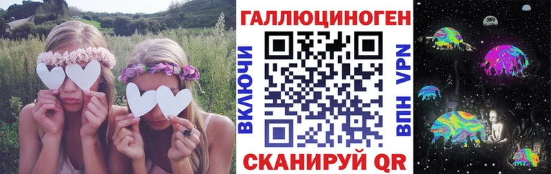 Купить где  Дигора  Галлюциногенные грибы Psilocybine cubensis 