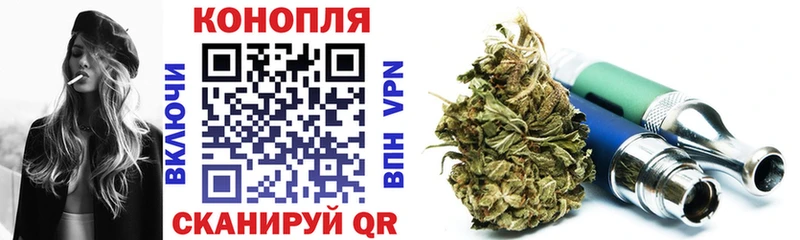 Бошки марихуана сатива  Купить  Дигора 